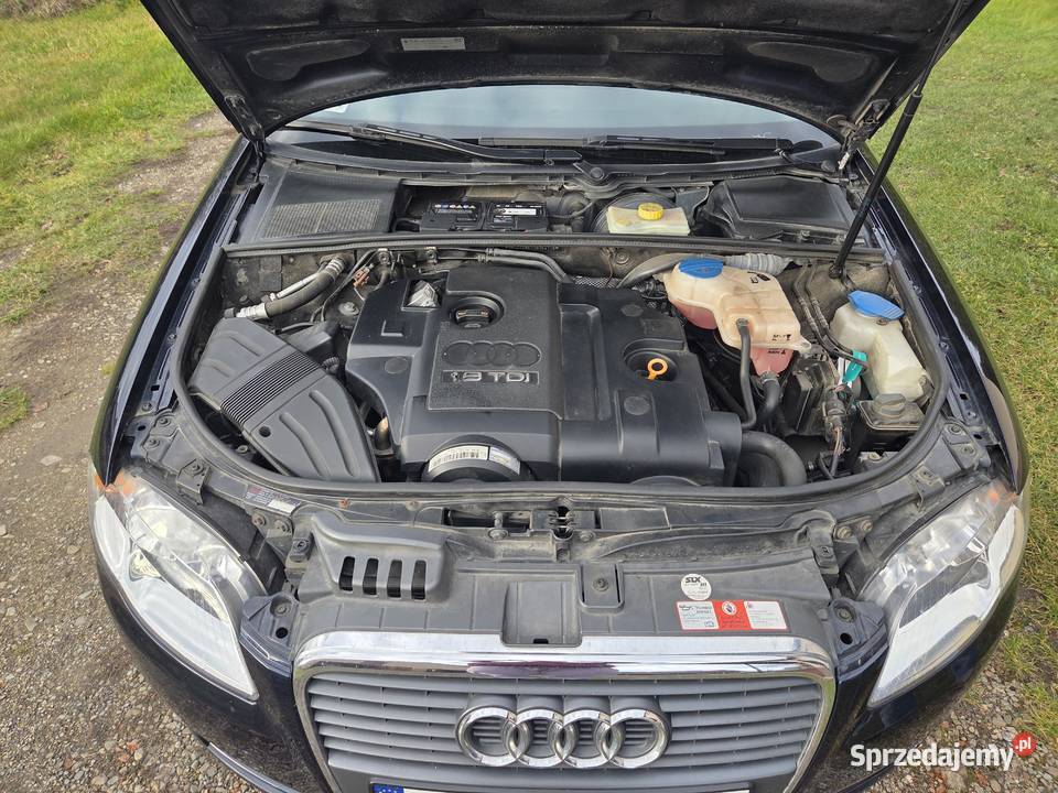 Audi A4 B7 20067 Diesel 19 TDI Strzyżów