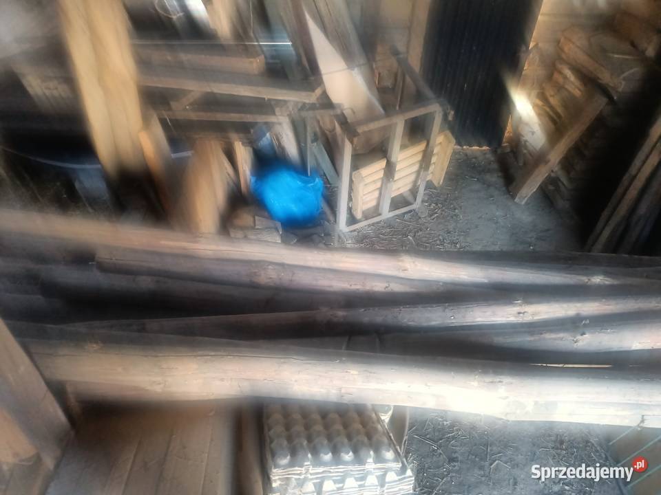 Zerdzie sosnowe sprzedam