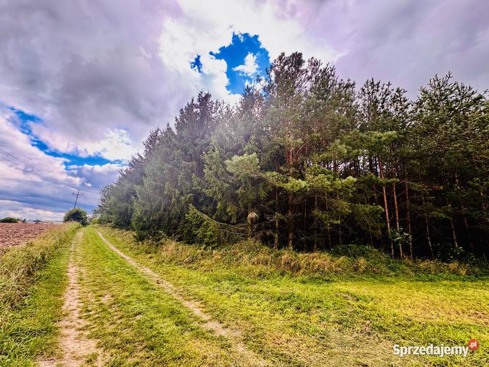 Drygały piękna działka 14 ha w otoczeniu lasów i Sprzedaż