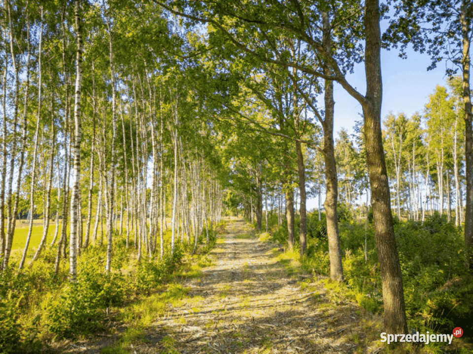 Działka budowlana 552m2 urokliwa i spokojna Darłowo