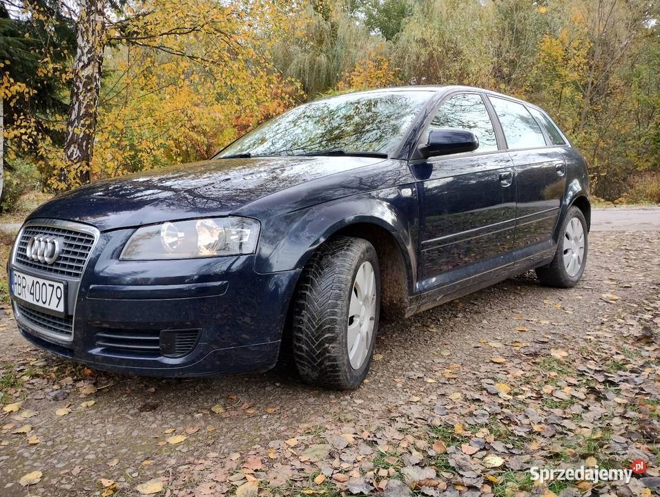 A3 8P 19tdi 105 105KM Jasło