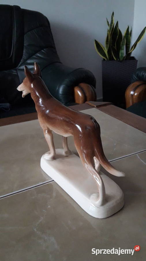 Pies Wilczór Chodzież lata 60 te PRL Janów Lubelski