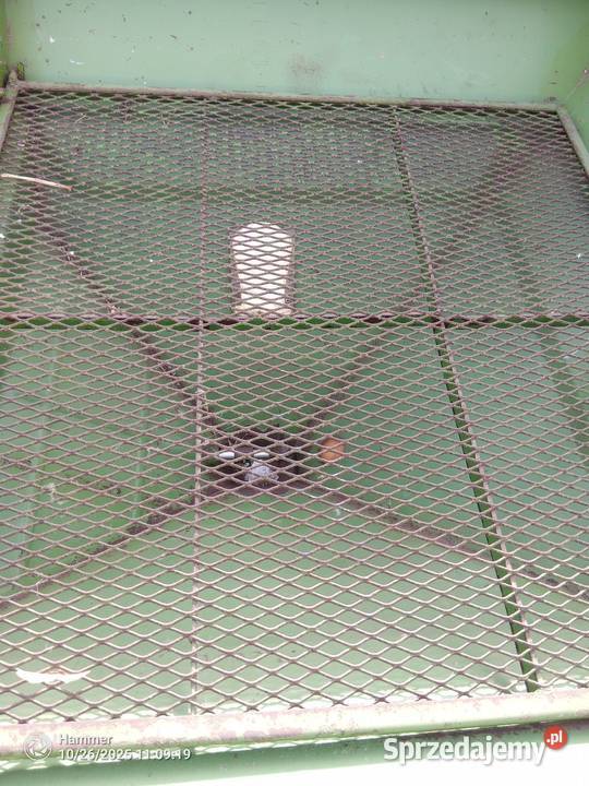 Amazone ZAU 1001 Rozsiewacze nawozów wielkopolskie Arcugowo