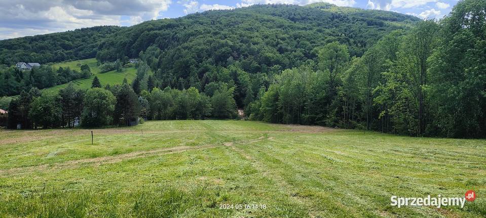 Sprzedam działkę widokową prąd Raciechowice