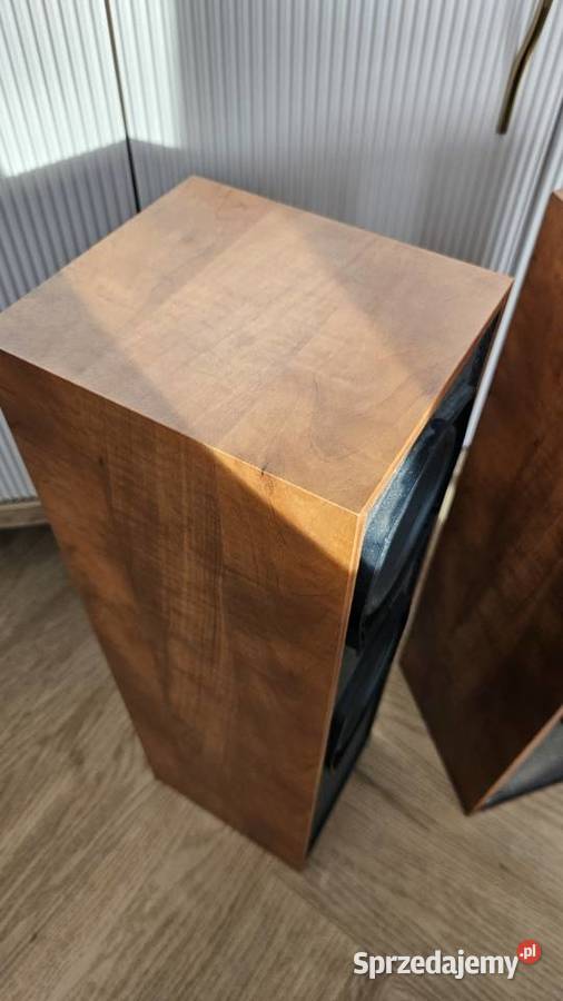 Głośniki podłogowe kolumny Pioneer SH210V Audio Trzebisławki