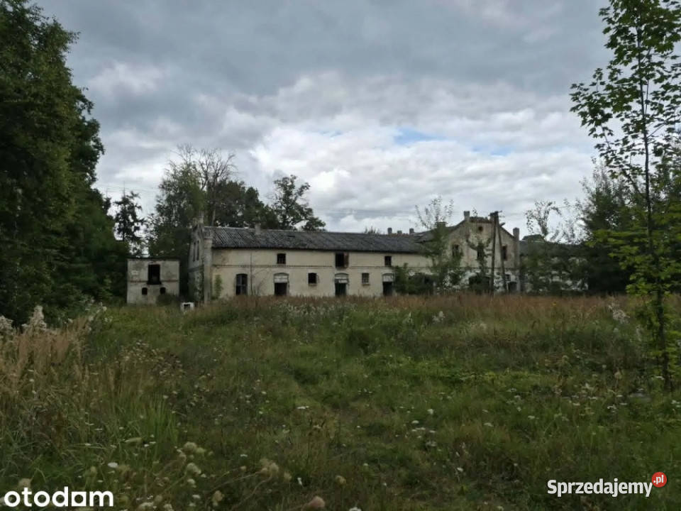 Zabytkowy zespół pałacowoparkowy z wyjątkowym 98419m2