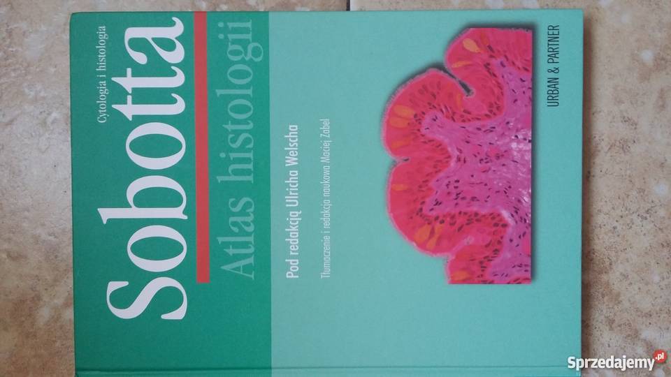 SOBOTTA Atlas histologii Stan idealny Szczecin