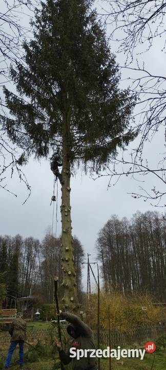 prace wysokościowe alpinista mycie malowanie