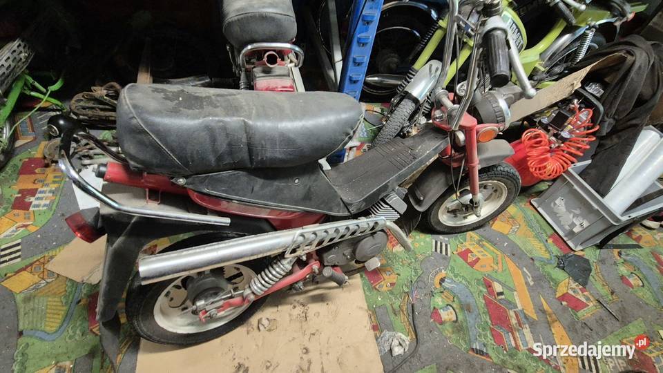 Motorynka stella zarejestrowana Hryniewicze