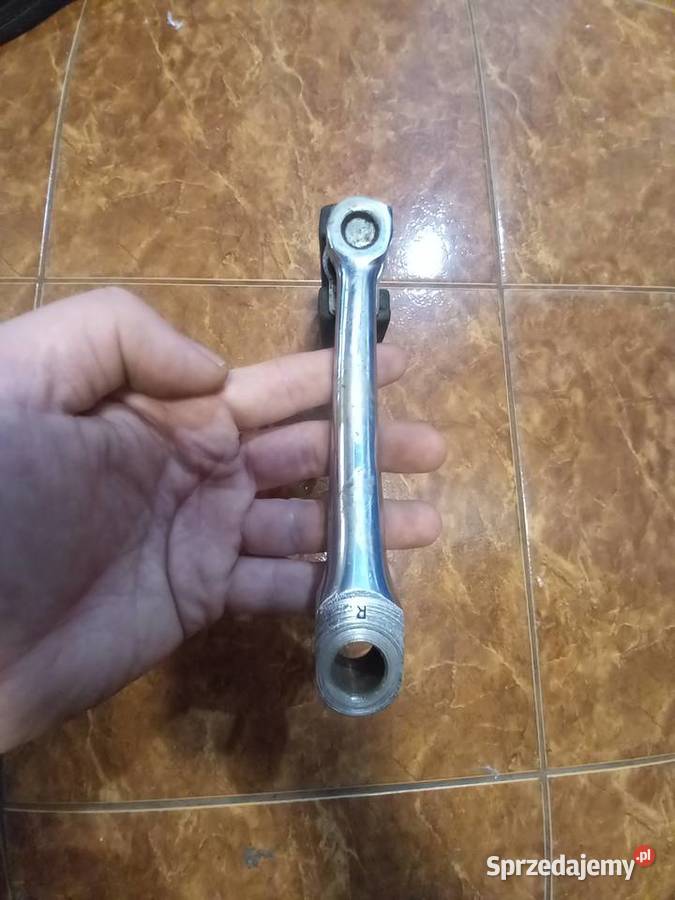 Korba komar sztywniak Sokołów Podlaski