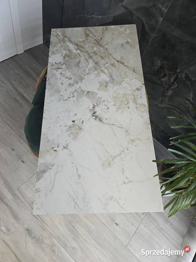 Płytka PATAGONIA GOLD CARVING 60x120 Opoczno