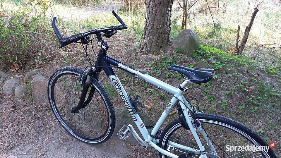 Alu Rower Miejski Męski Gazelle Puerto 3x8 Wołów