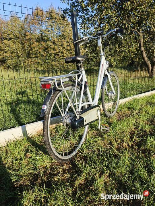 rower Elektryczny BATAVUS Fuego EGo Rowery elektryczne małopolskie