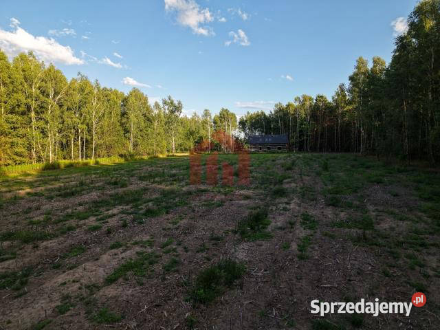 Działka 900m2 Czarna Sędziszowska podkarpackie sprzedam