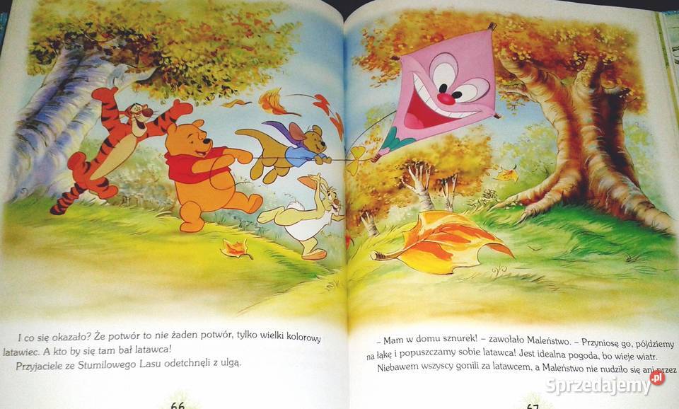 Cztery pory roku z Kubusiem Puchatkiem Marek Chełm