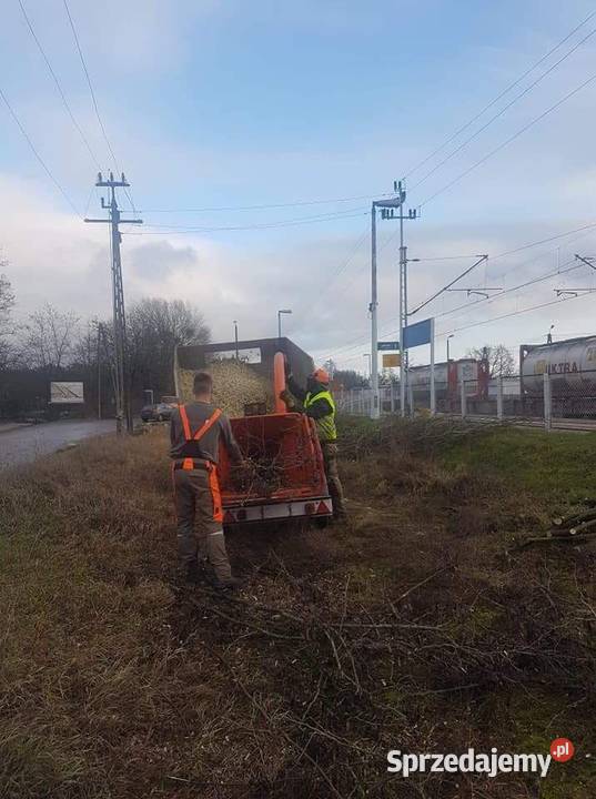 Wycinka drzew i karczowanie terenu wielkopolskie Poznań