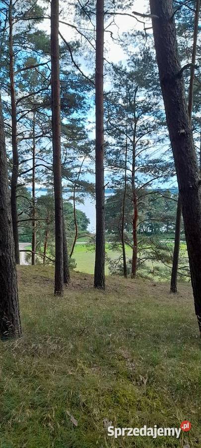 Działka leśna swornegacie pomorskie