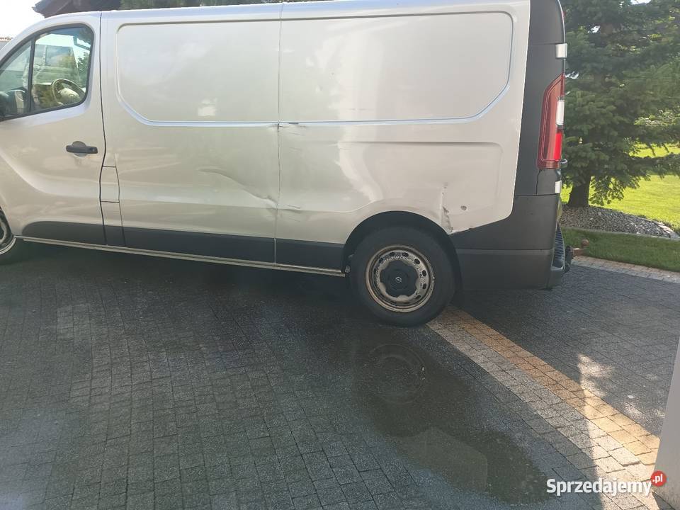 Vivaro long Vivaro Mogilno
