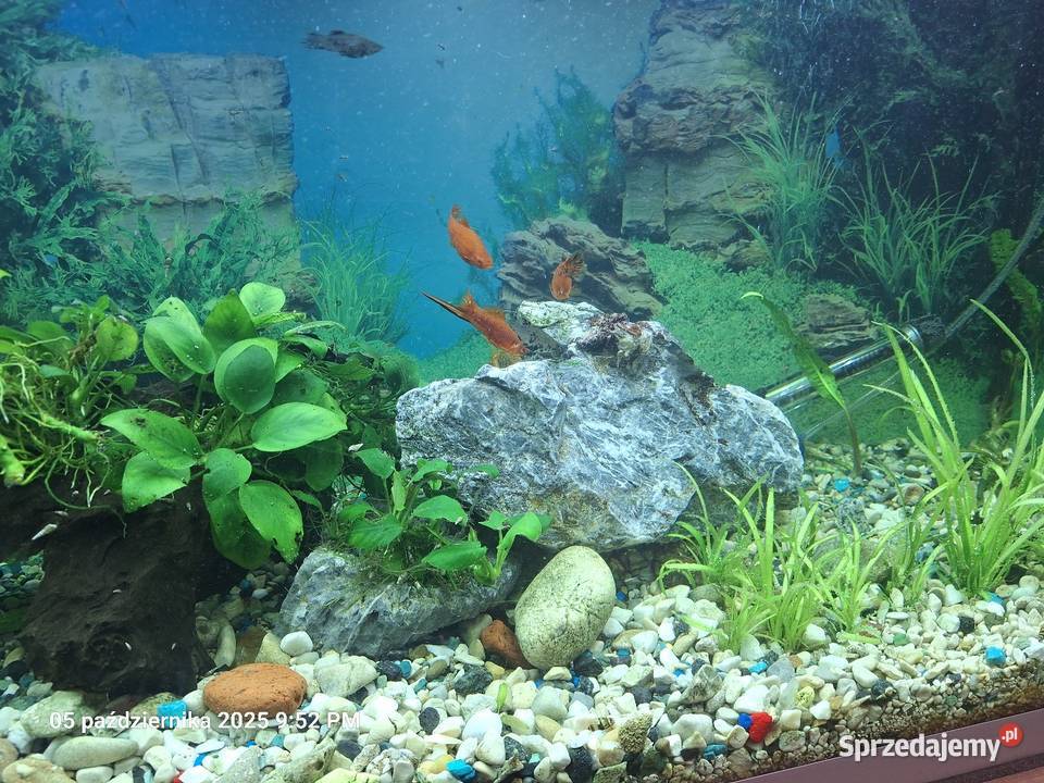 Akrawium 240 l Harta