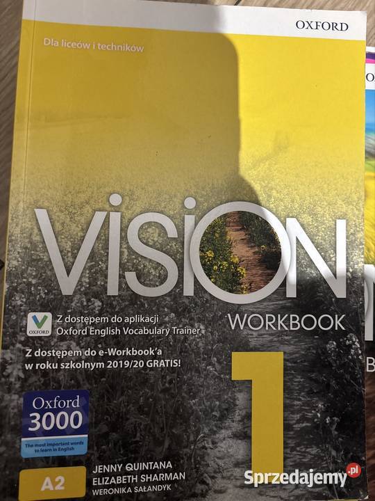Książki do nauki języka angielskiego Vision 100 Buk