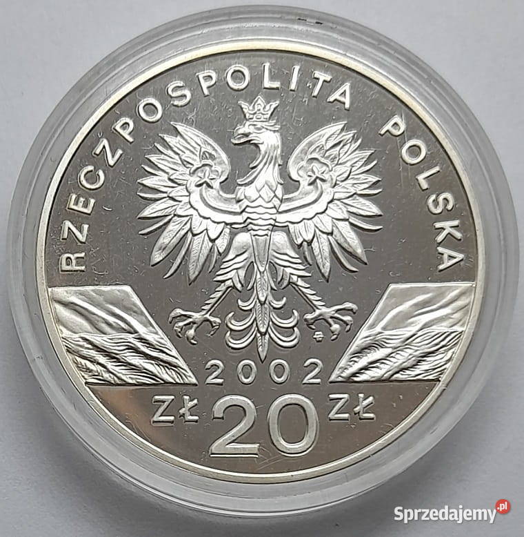 29 Morświn Stan Menniczy Olkusz