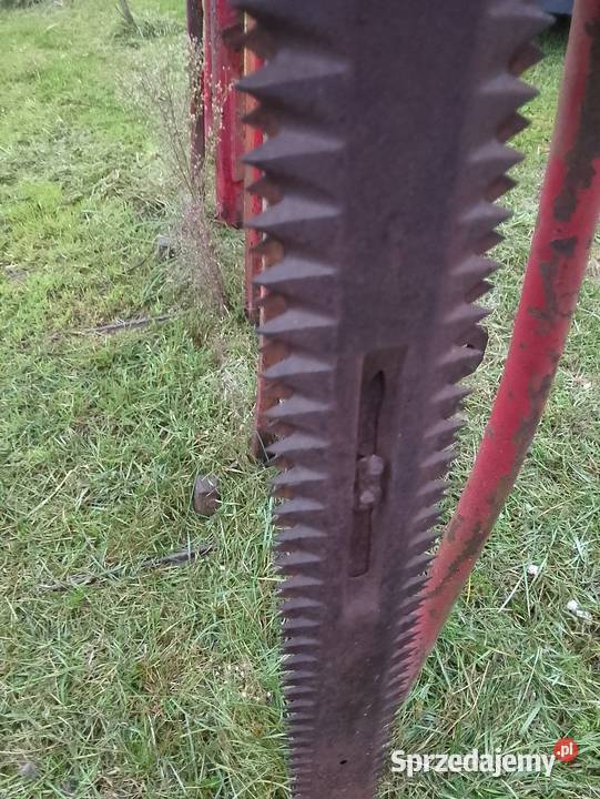 Wycinak do kiszonki nieuszkodzony Mońki