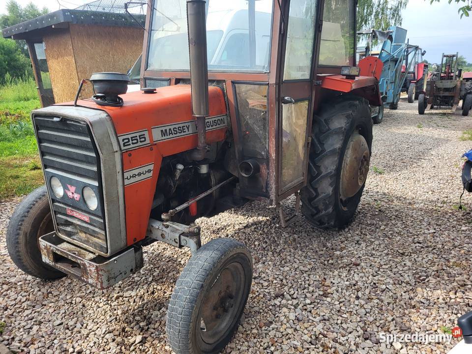 Mf255 1987 Miedniewice