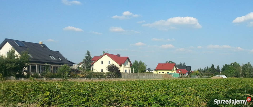 SPRZEDAM BEZPOŚREDNIO DZIAŁKA BUDOWLANA 15000m2 Ożarów Mazowiecki