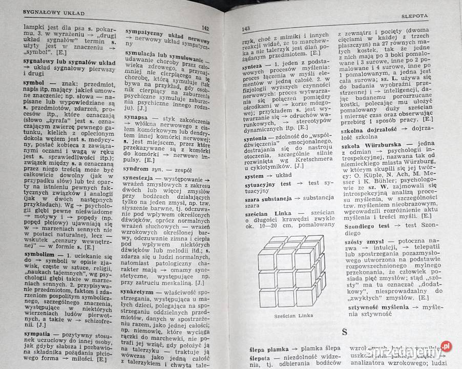 Mały słownik psychologiczny J Ekel J Jaroszyński Rok wydania 1965 Chełm