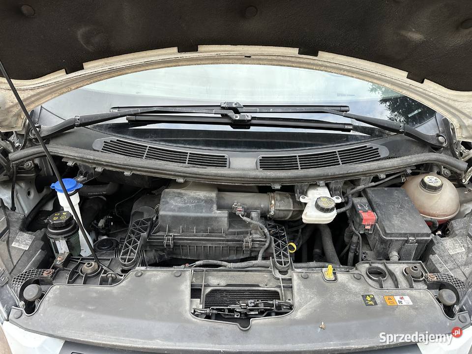 Ford custom świętokrzyskie Pińczów