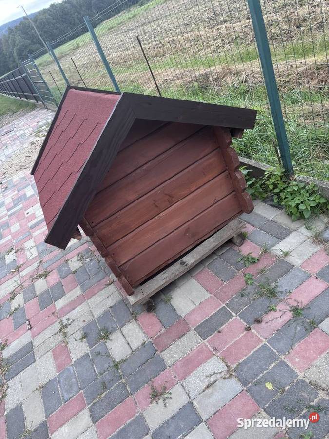 Buda psa sprzedam