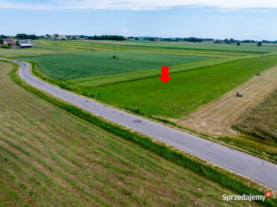 Działka Wzdół Kolonia Bodzentyn 30 Kielc 6100m2 Wzdół-Kolonia