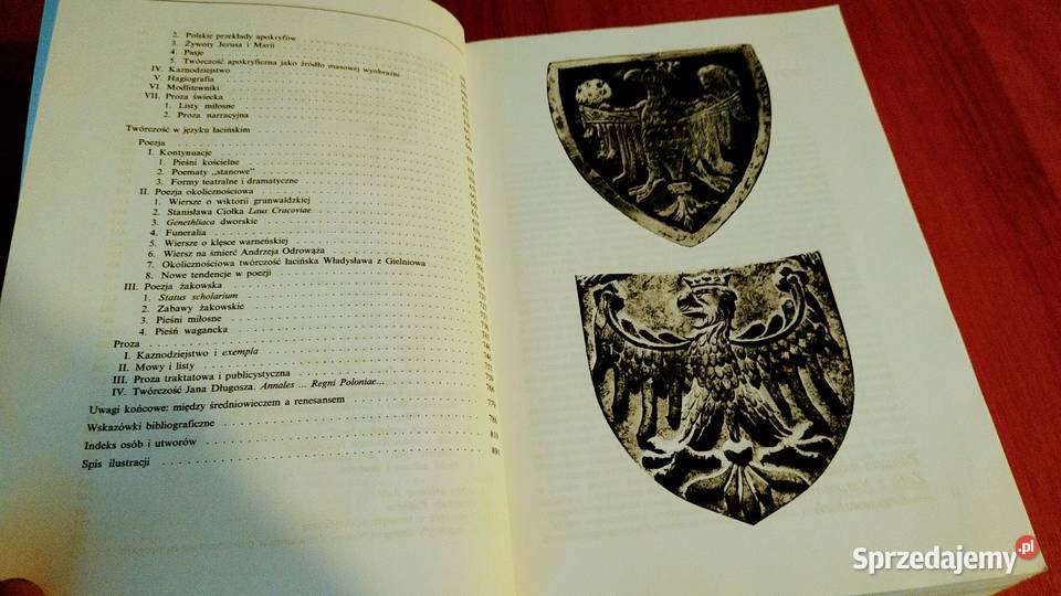 Średniowiecze Teresa Michałowska Wielka Historia Książki naukowe i popularnonaukowe Gdańsk