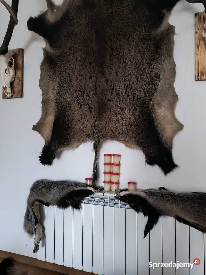 smalecsadło z borsuka Mielec