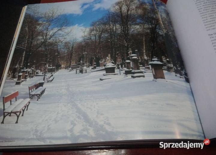 Rzeszów współczesny pejzaż miasta Pozostałe zachodniopomorskie Koszalin