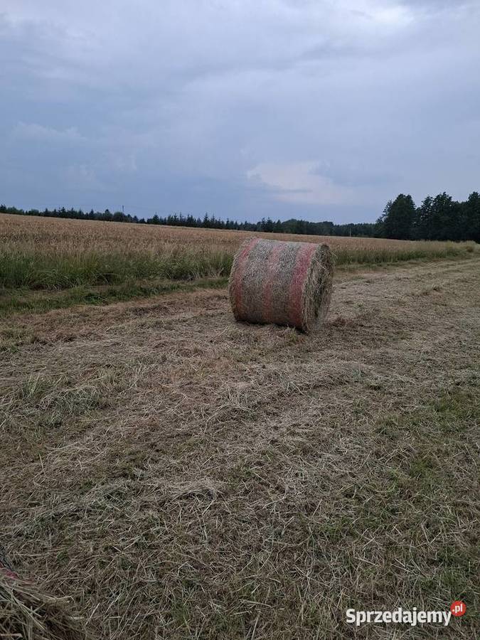 Sprzedam siano tegoroczne świeżo zrobione 68 lubelskie Łęczna