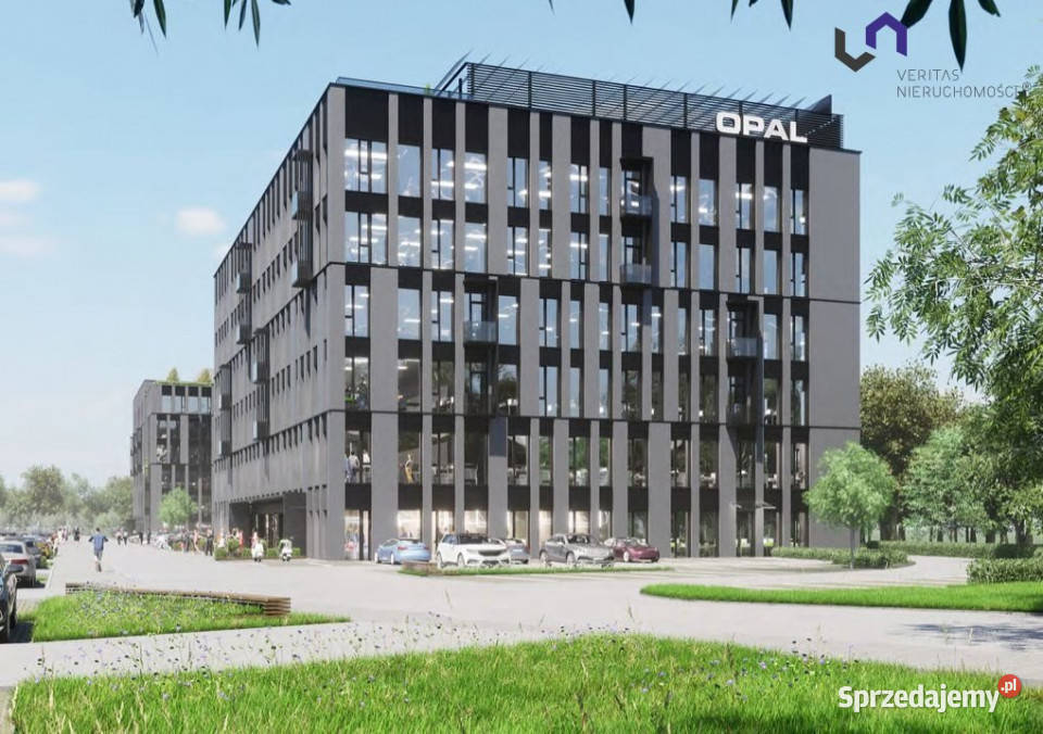 Lokal Katowice 173m2
