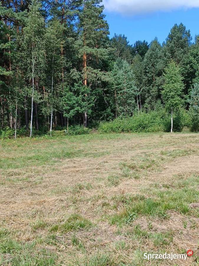 Działka z WZ mieszkaniowej światło 1364m2 Kąty-Miąski