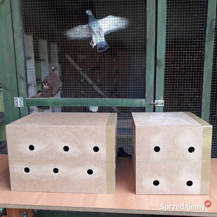 Klatki transportowe Transportówki Mocne Wysyłka