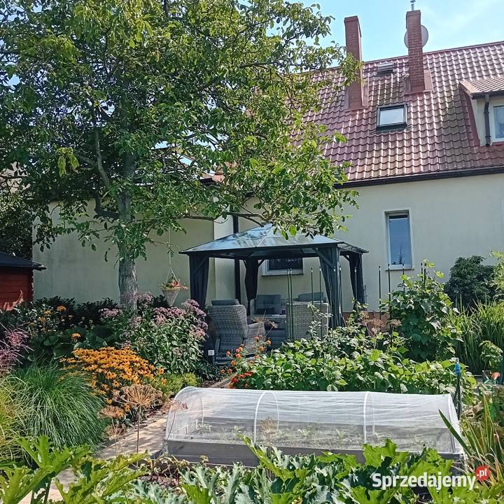 Wyjątkowy dom jednorodzinny bliźniak w centrum mieszkalny