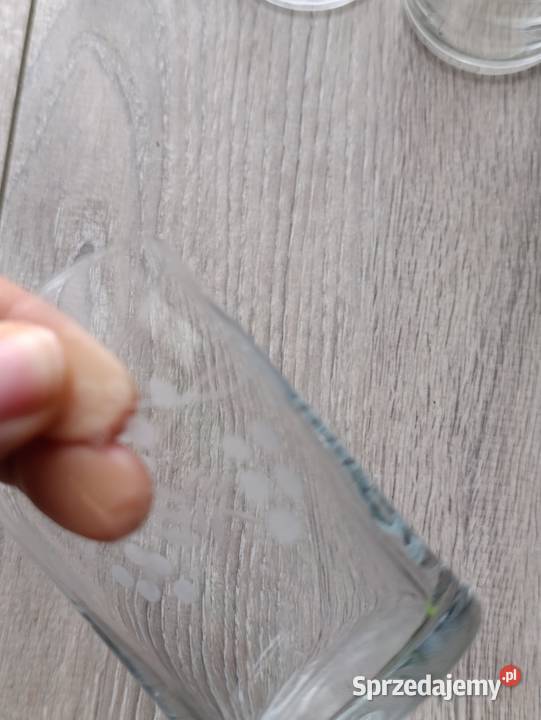 literatki literatka 15 sztuk Poznań