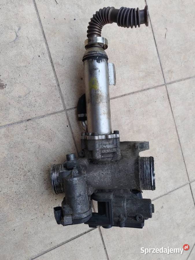 EGR i chłodniczka spalin do Volvo 24 D5 185 osobowe mazowieckie Błonie