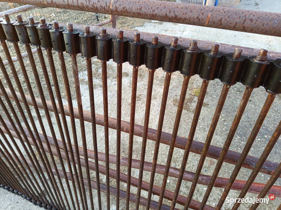 Taśma łańcuch części kopaczka elewatorowa do nieuszkodzony Szynkielów sprzedam