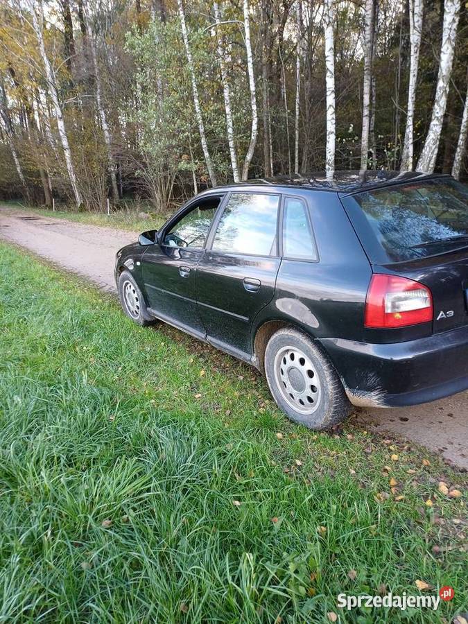 Sprzedam audi a3 polift 19 tdi 130 Grajewo