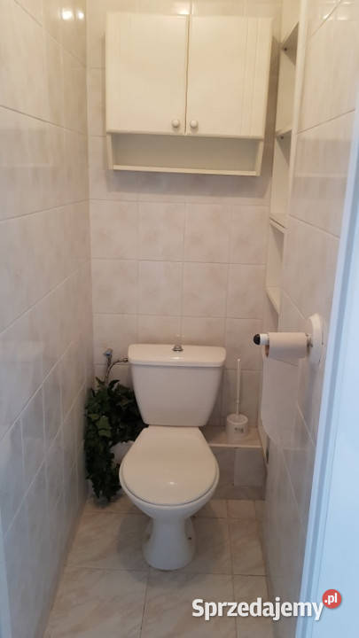 Gdańsk Morena 3 pok w kawalerki Okazja Wynajem