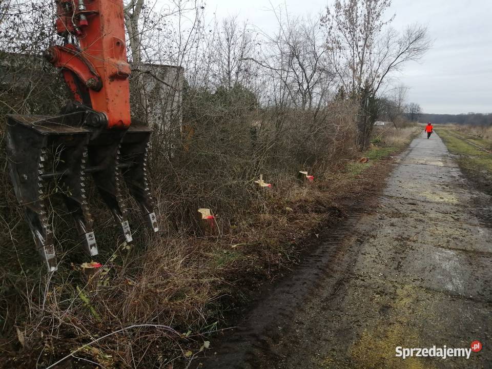 Przygotowanie terenu inwestycji Wycinka drzew