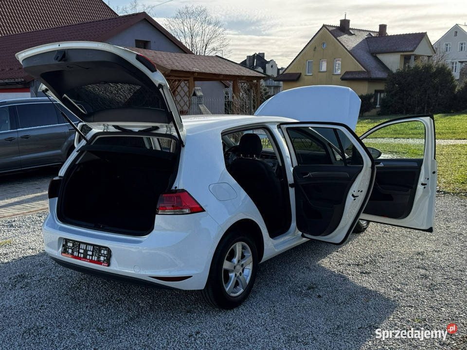 Volkswagen Golf VII 12 TSI 87 5drzwi Bały 2 kpl Strzegom