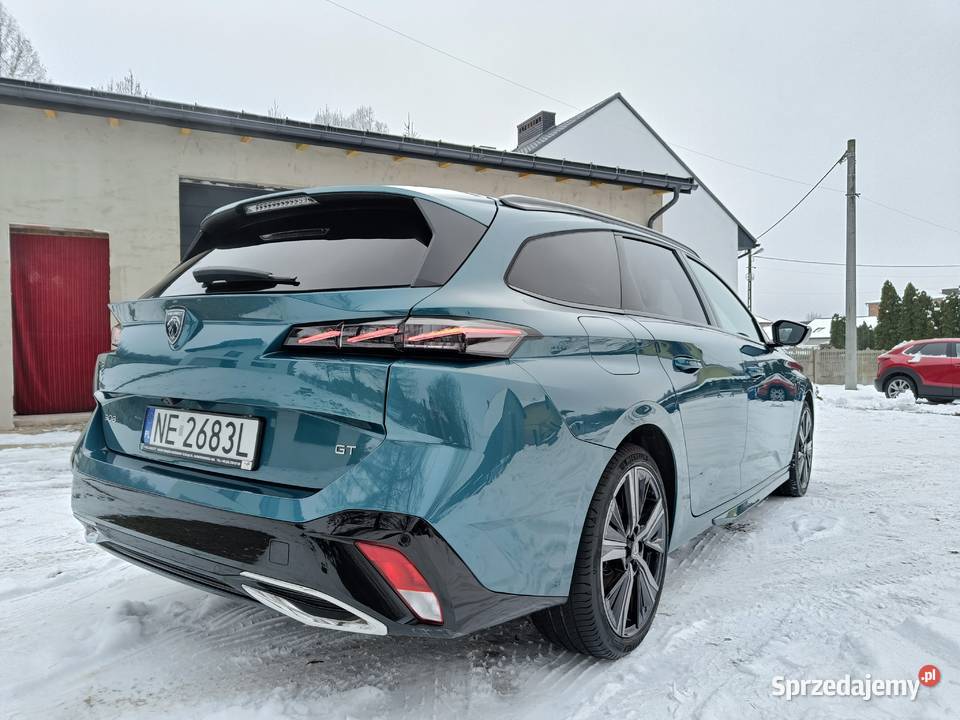 15 Salon 1 Właściciel Najbogatsza wyp Niski