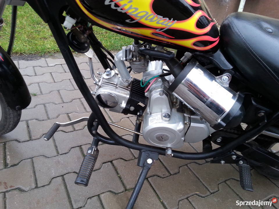 Mini Chopper Kingway Łoś śląskie