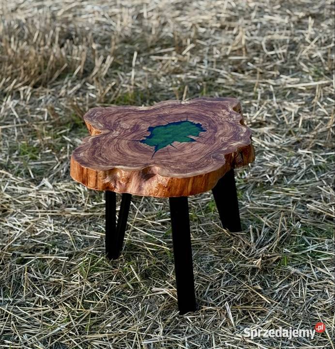 Stolik kawowy z Plastra Drewna Oliwnego Skierniewice